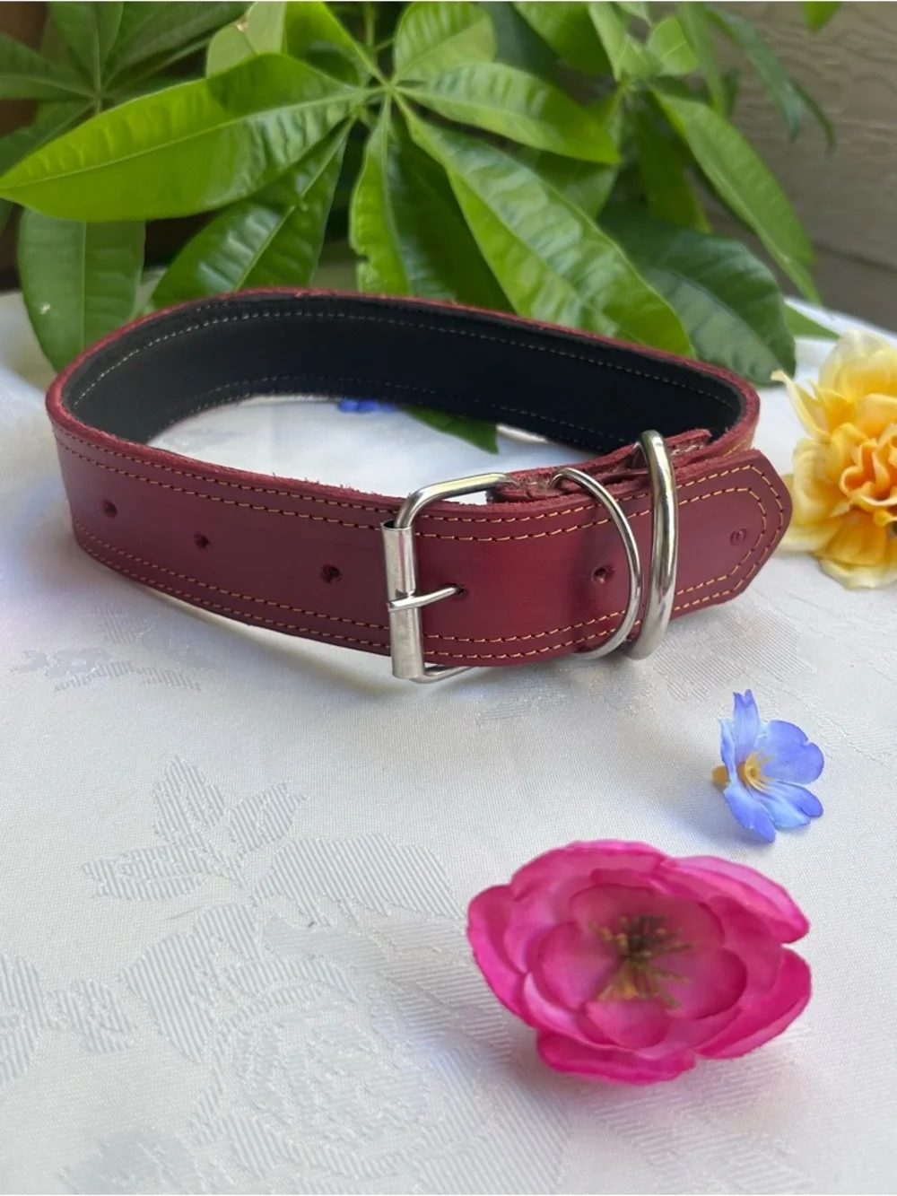 Leather Dog Collar Wide 1.5